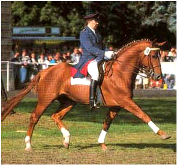 Weltmeyer Weltmeyer